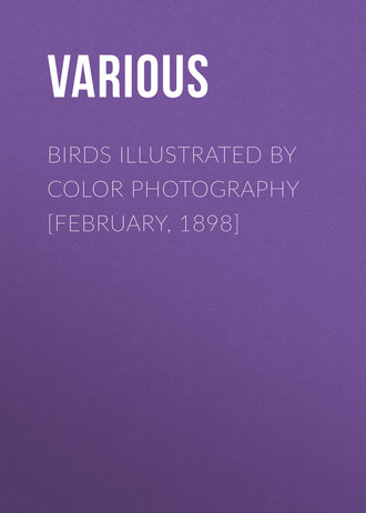 Birds Illustrated by Color Photography [February, 1898]. 