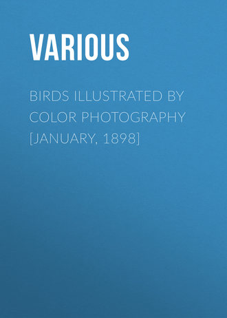 Various. Birds Illustrated by Color Photography [January, 1898]