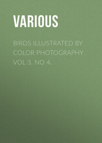 Various. Birds Illustrated by Color Photography Vol 3. No 4.