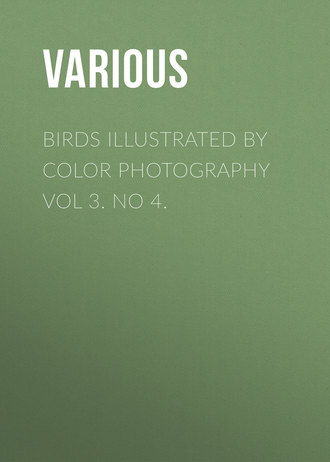 Birds Illustrated by Color Photography Vol 3. No 4.. 