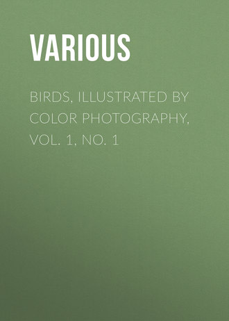 Various. Birds, Illustrated by Color Photography, Vol. 1, No. 1
