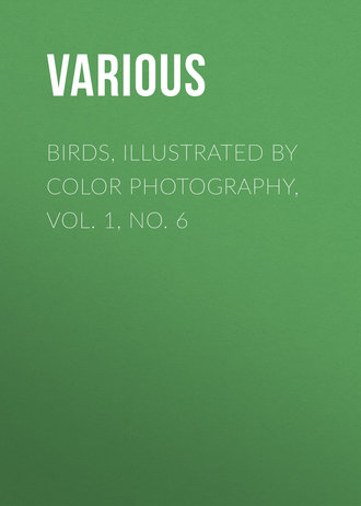 Birds, Illustrated by Color Photography, Vol. 1, No. 6. 