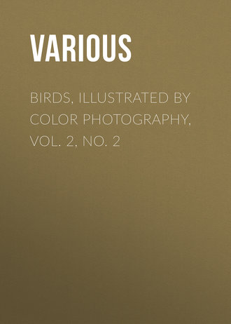 Various. Birds, Illustrated by Color Photography, Vol. 2, No. 2
