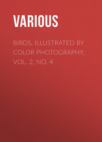Various. Birds, Illustrated by Color Photography, Vol. 2, No. 4