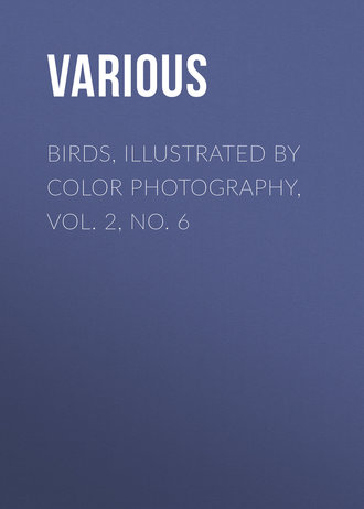 Various. Birds, Illustrated by Color Photography, Vol. 2, No. 6