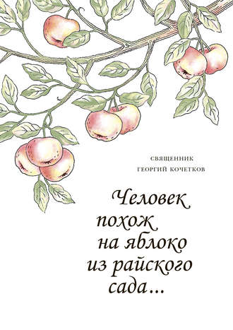 Человек похож на яблоко из райского сада…. священник Георгий Кочетков