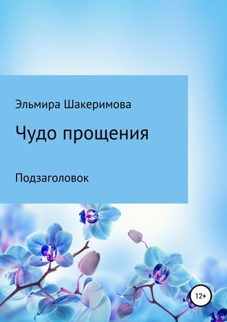 Чудо прощения. Эльмира Маратовна Шакеримова