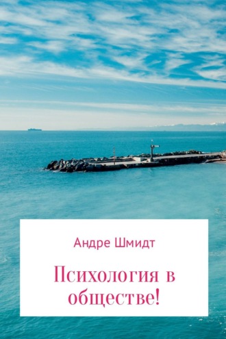 Психология в обществе. Андре Суэль Шмидт