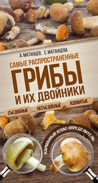 Александр Матанцев. Самые распространенные грибы и их двойники съедобные, несъедобные, ядовитые