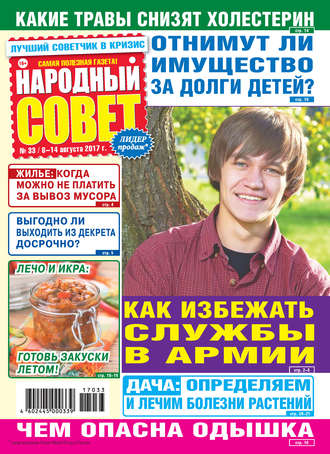 Группа авторов. Народный совет №33/2017