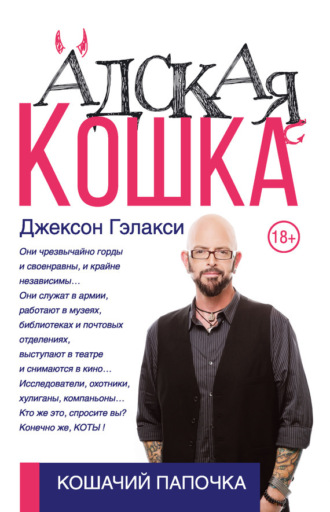 Адская кошка. Джексон Гэлакси