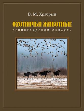 Охотничьи животные Ленинградской области. В. М. Храбрый