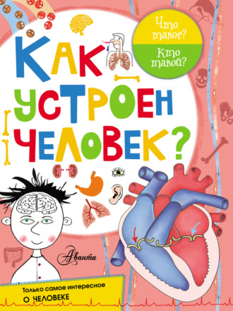 Как устроен человек?. 
