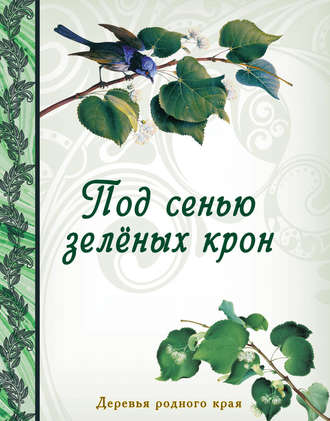 Под сенью зеленых крон. Деревья родного края. 