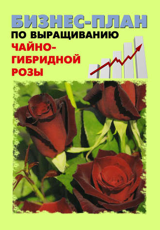 Павел Шешко. Бизнес-план по выращиванию чайно-гибридной розы