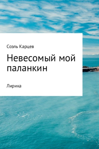 Невесомый мой паланкин. Соэль Витальевич Карцев