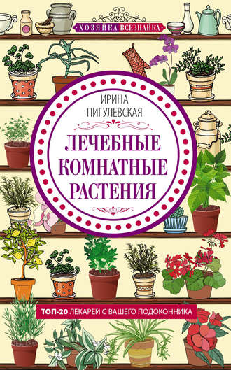 Лечебные комнатные растения. ТОП-20 лекарей с вашего подоконника. 