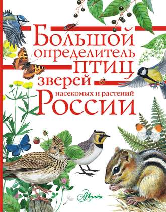 Коллектив авторов. Большой определитель птиц, зверей, насекомых и растений России