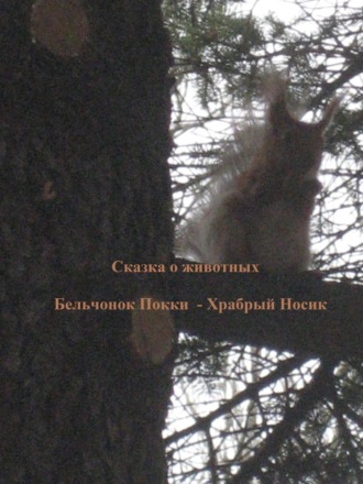 Бельчонок Покки. Храбрый носик. Нина Анатольевна Лукина