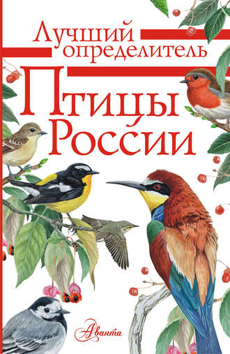 П. М. Волцит. Птицы России