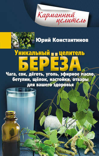 Уникальный целитель берёза. Чага, сок, дёготь, уголь, эфирное масло, бетулин, щёлок, настойки, отвары для вашего здоровья. 