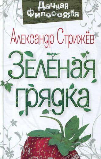Александр Стрижев. Зеленая грядка