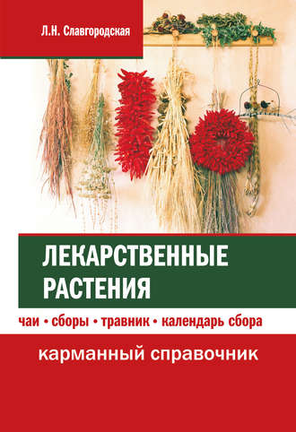 Лариса Славгородская. Лекарственные растения: чаи, сборы, травник, календарь сбора