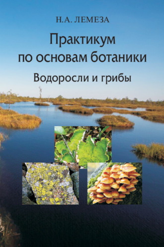 Практикум по основам ботаники. Водоросли и грибы. 