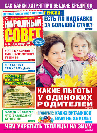 Народный совет №43/2017. Группа авторов