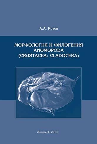 А. А. Котов. Морфология и филогения Anomopoda (Crustacea: Cladocera)