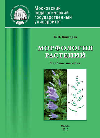 В. П. Викторов. Морфология растений