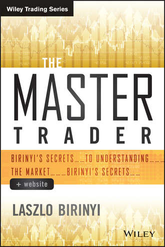 Laszlo  Birinyi. The Master Trader. Birinyi's Secrets to Understanding the Market