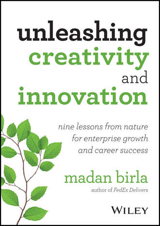 Madan  Birla. Unleashing Creativity and Innovation. Nine Lessons from Nature for Enterprise Growth and Career Success