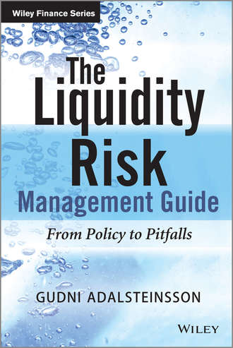 Gudni  Adalsteinsson. The Liquidity Risk Management Guide. From Policy to Pitfalls