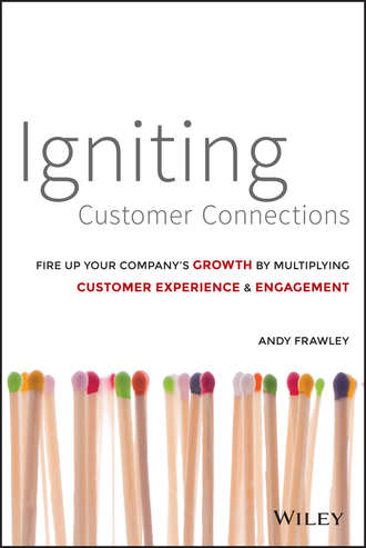 Igniting Customer Connections. Fire Up Your Company's Growth By Multiplying Customer Experience and Engagement. Andrew  Frawley