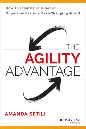 Amanda  Setili. The Agility Advantage. How to Identify and Act on Opportunities in a Fast-Changing World