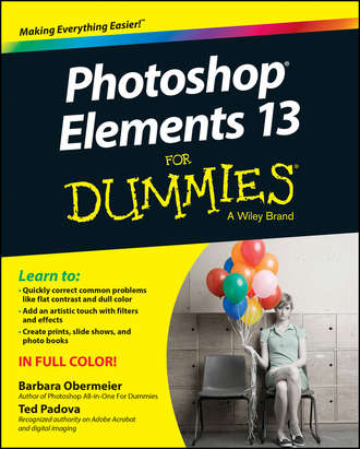 Barbara  Obermeier. Photoshop Elements 13 For Dummies
