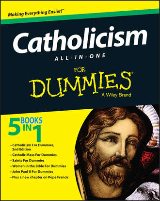 Consumer Dummies. Catholicism All-In-One For Dummies