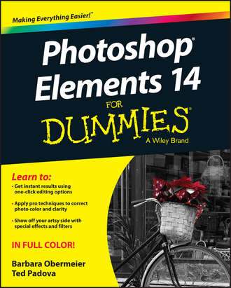 Barbara  Obermeier. Photoshop Elements 14 For Dummies