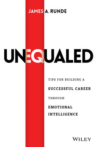 Diana Giddon. Unequaled. Tips for Building a Successful Career through Emotional Intelligence