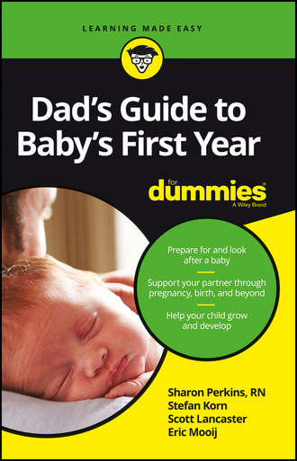 Sharon  Perkins. Dad's Guide to Baby's First Year For Dummies