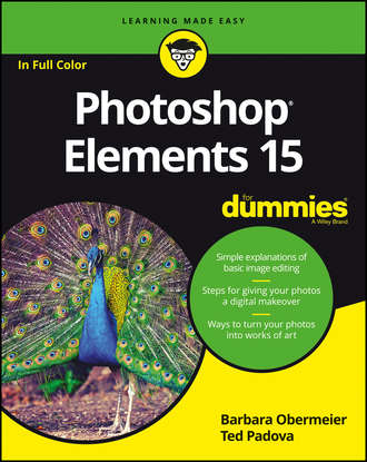 Barbara  Obermeier. Photoshop Elements 15 For Dummies