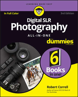Robert Correll. Digital SLR Photography All-in-One For Dummies