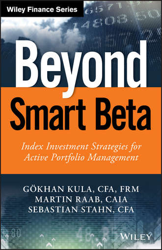 Martin  Raab. Beyond Smart Beta. Index Investment Strategies for Active Portfolio Management