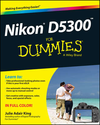 Julie Adair King. Nikon D5300 For Dummies