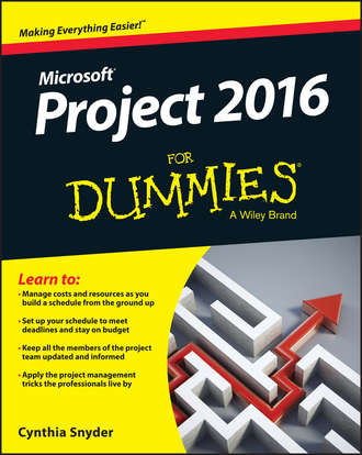 Cynthia Snyder Dionisio. Project 2016 For Dummies