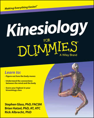 Rick  Albrecht. Kinesiology For Dummies