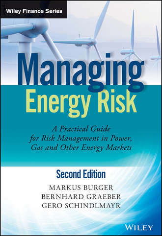 Markus  Burger. Managing Energy Risk. An Integrated View on Power and Other Energy Markets