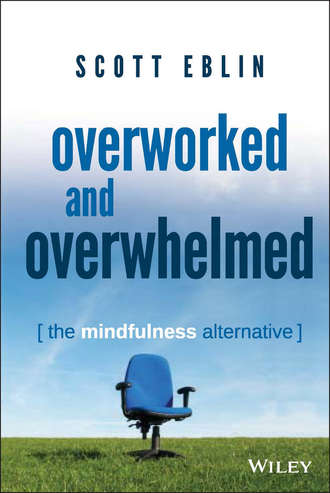 Scott  Eblin. Overworked and Overwhelmed. The Mindfulness Alternative