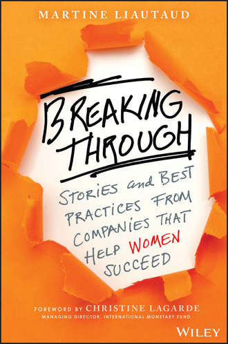 Martine  Liautaud. Breaking Through. Stories and Best Practices From Companies That Help Women Succeed